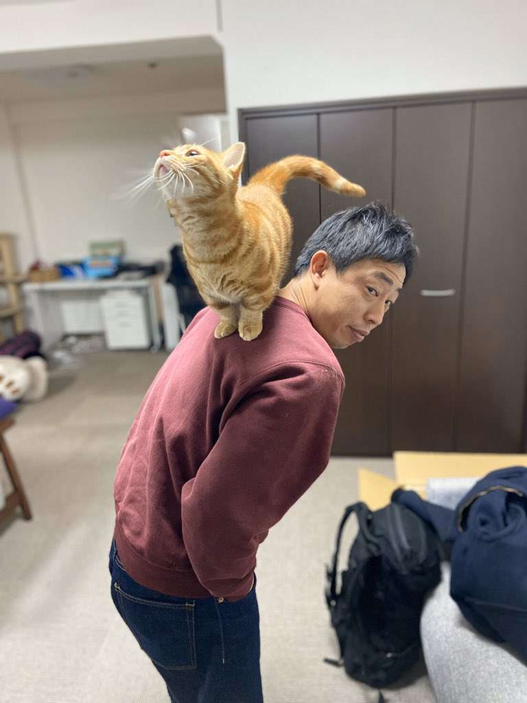 好きな画像を載せると誰かがタイトルをつけてくれるトピpart3