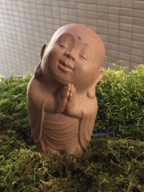好きな画像を載せると誰かがタイトルをつけてくれるトピpart3