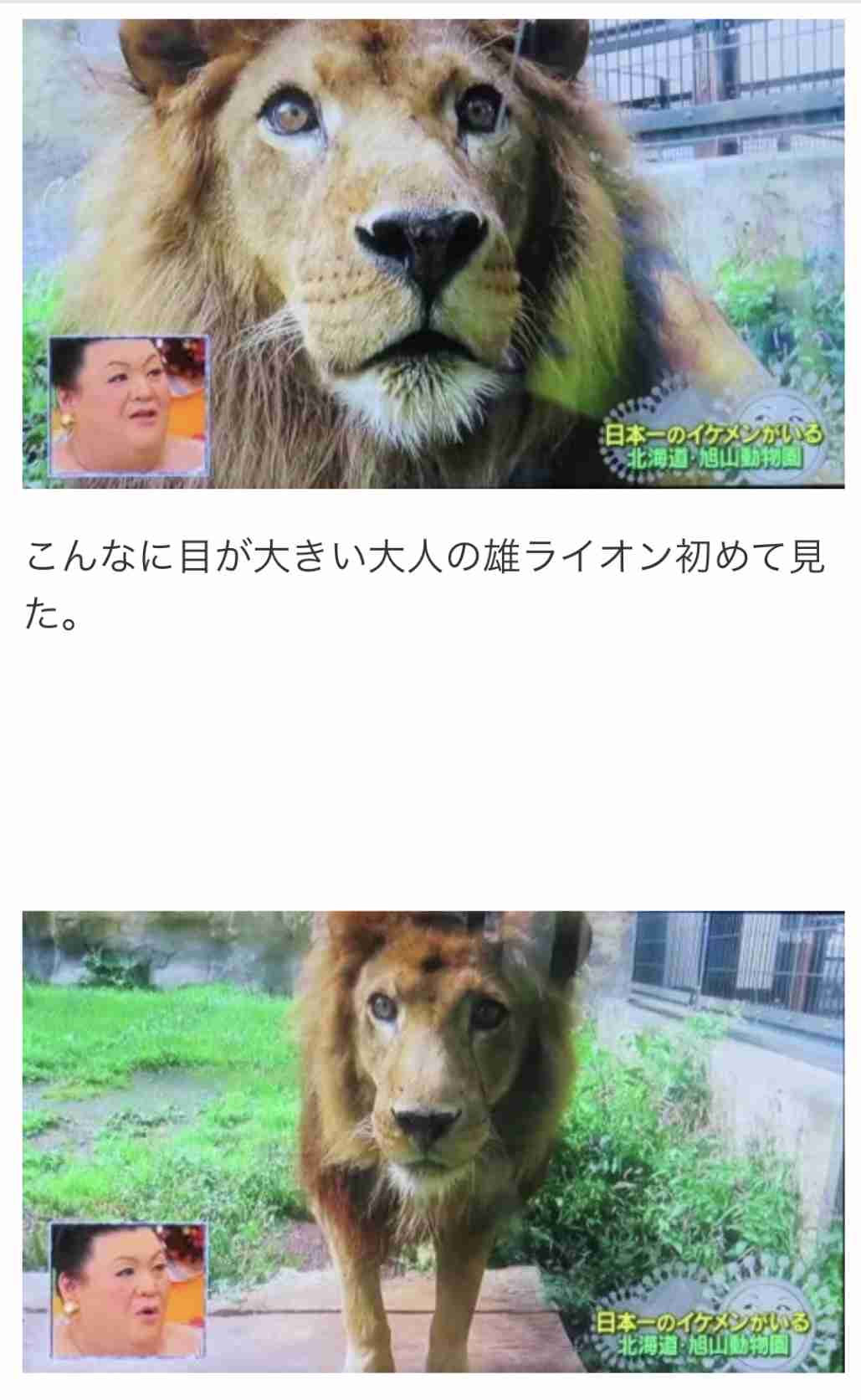 動物園の動物を貼るトピ ガールズちゃんねる Girls Channel