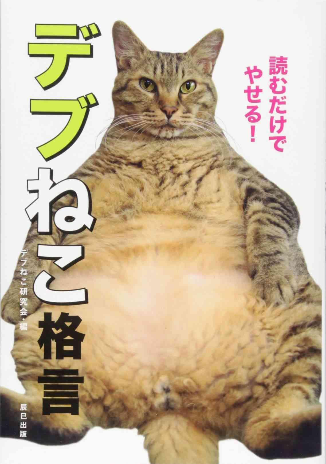 体重3桁の人の食生活が知りたいpart5