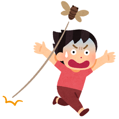 セミが鳴いてる‼︎