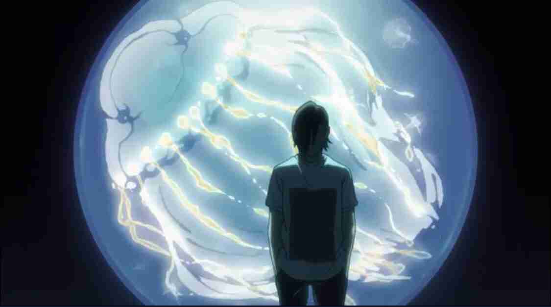 加茂水族館で飼育 人気のクラゲが“新種”と判明 山形 鶴岡