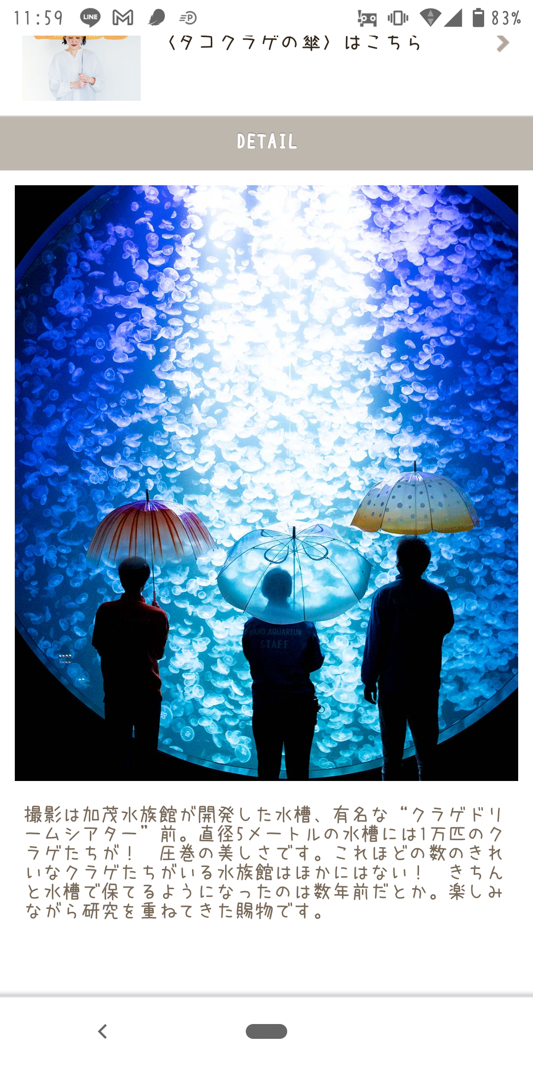 加茂水族館で飼育 人気のクラゲが“新種”と判明 山形 鶴岡