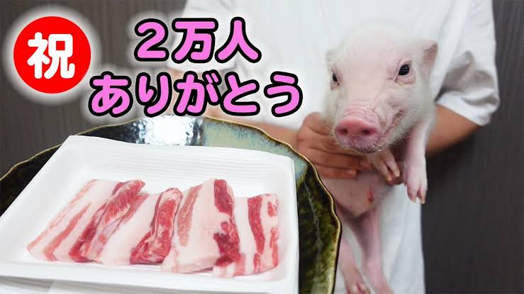 永島優美アナ　「ありがとトン」マイクロブタとの2ショット披露　「可愛すぎる」の声