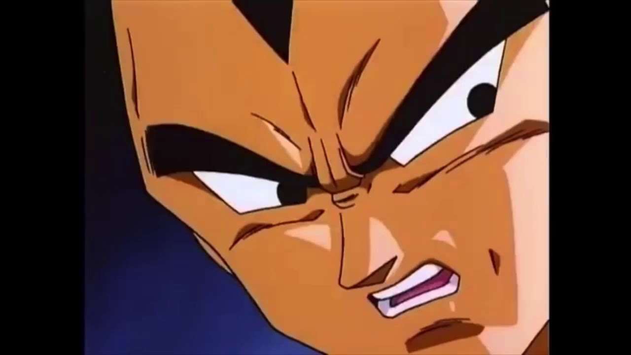 色んなベジータが見たいpart5