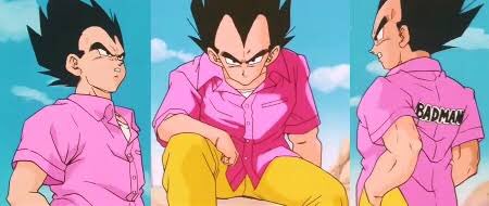 色んなベジータが見たいpart5