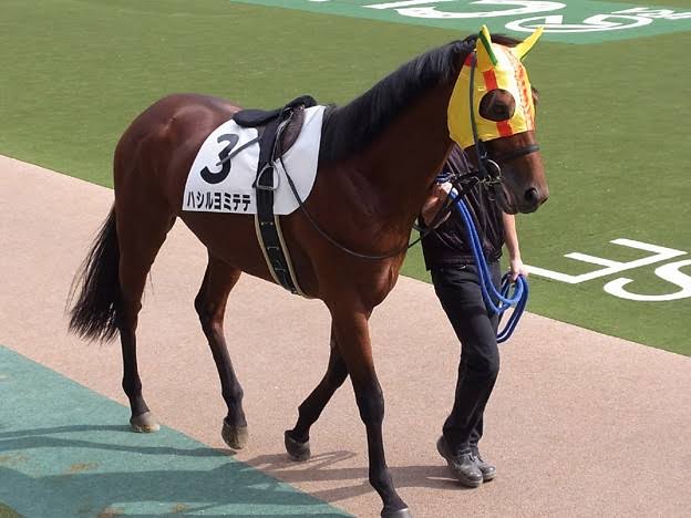 霜降り・粗品、宝塚記念で複勝馬券99万9900円つぎ込むも“奇跡”起きず