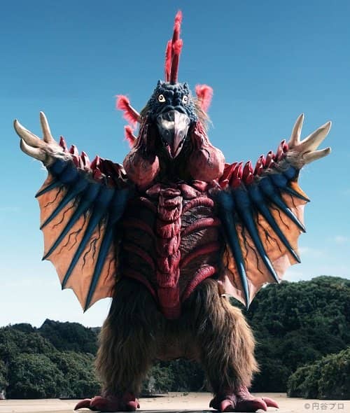 ついに捕獲に成功!　千葉の“巨大鳥”