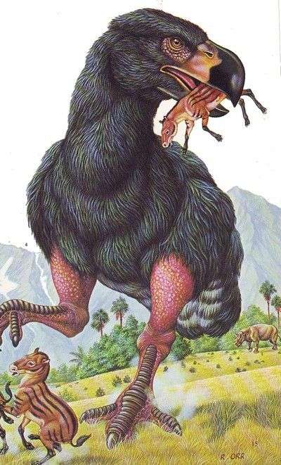 ついに捕獲に成功!　千葉の“巨大鳥”