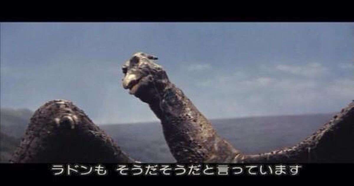 ついに捕獲に成功!　千葉の“巨大鳥”