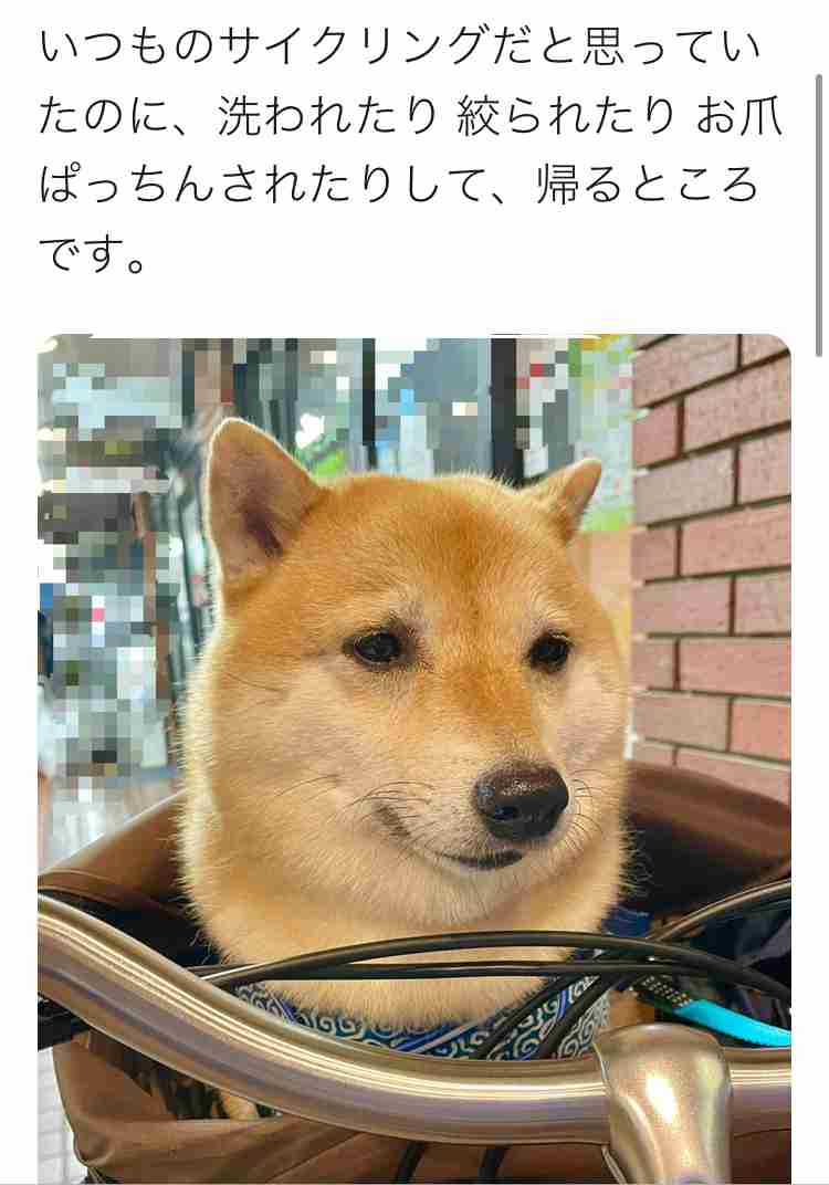 お風呂好き?嫌い?