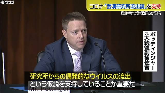 中国研究チーム、コウモリから新たなコロナウイルスを複数発見