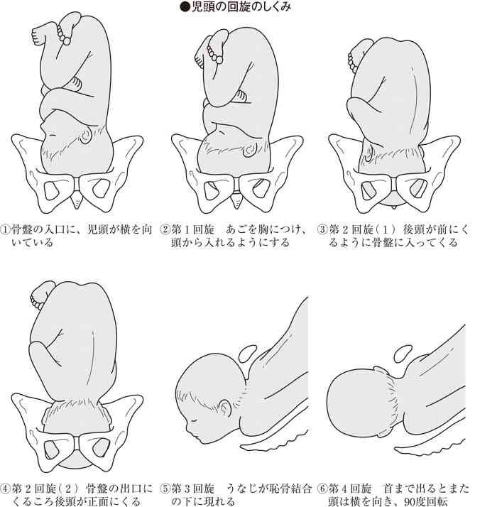 出産が怖い。先輩方、喝を頼む。