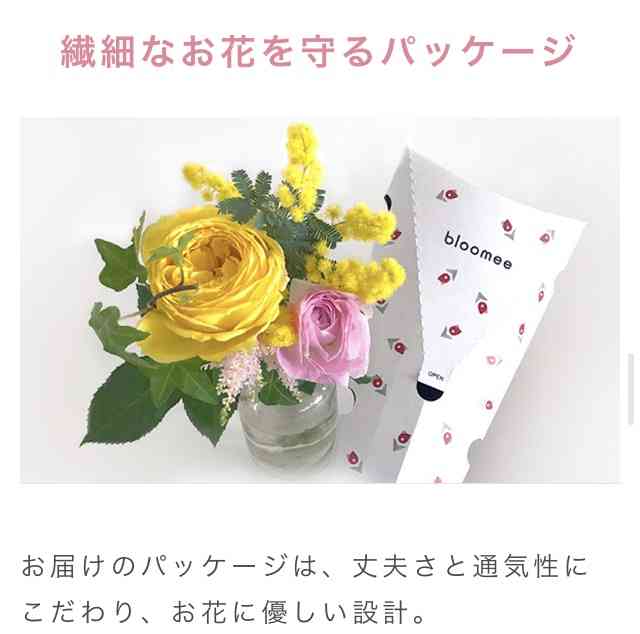 なくても生活できるけど、あったら生活に潤いが出そうな物