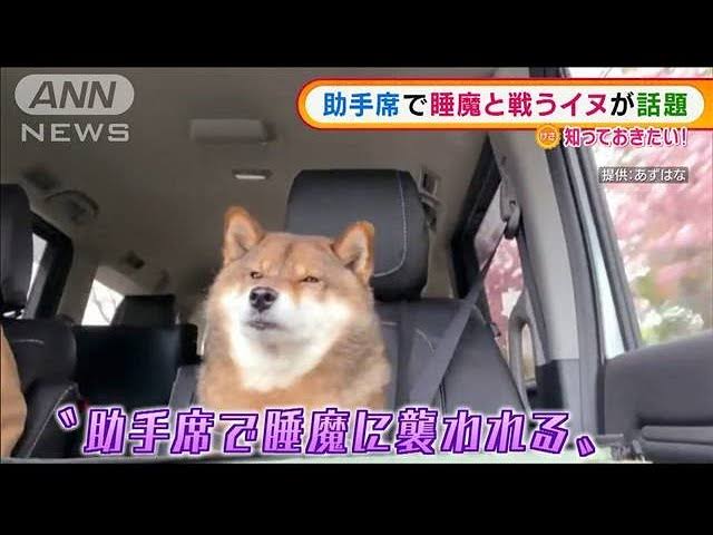 【スギちゃん雑談】雨雲なんて吹き飛ばすぜぇ〜👊☂️　【part 61】