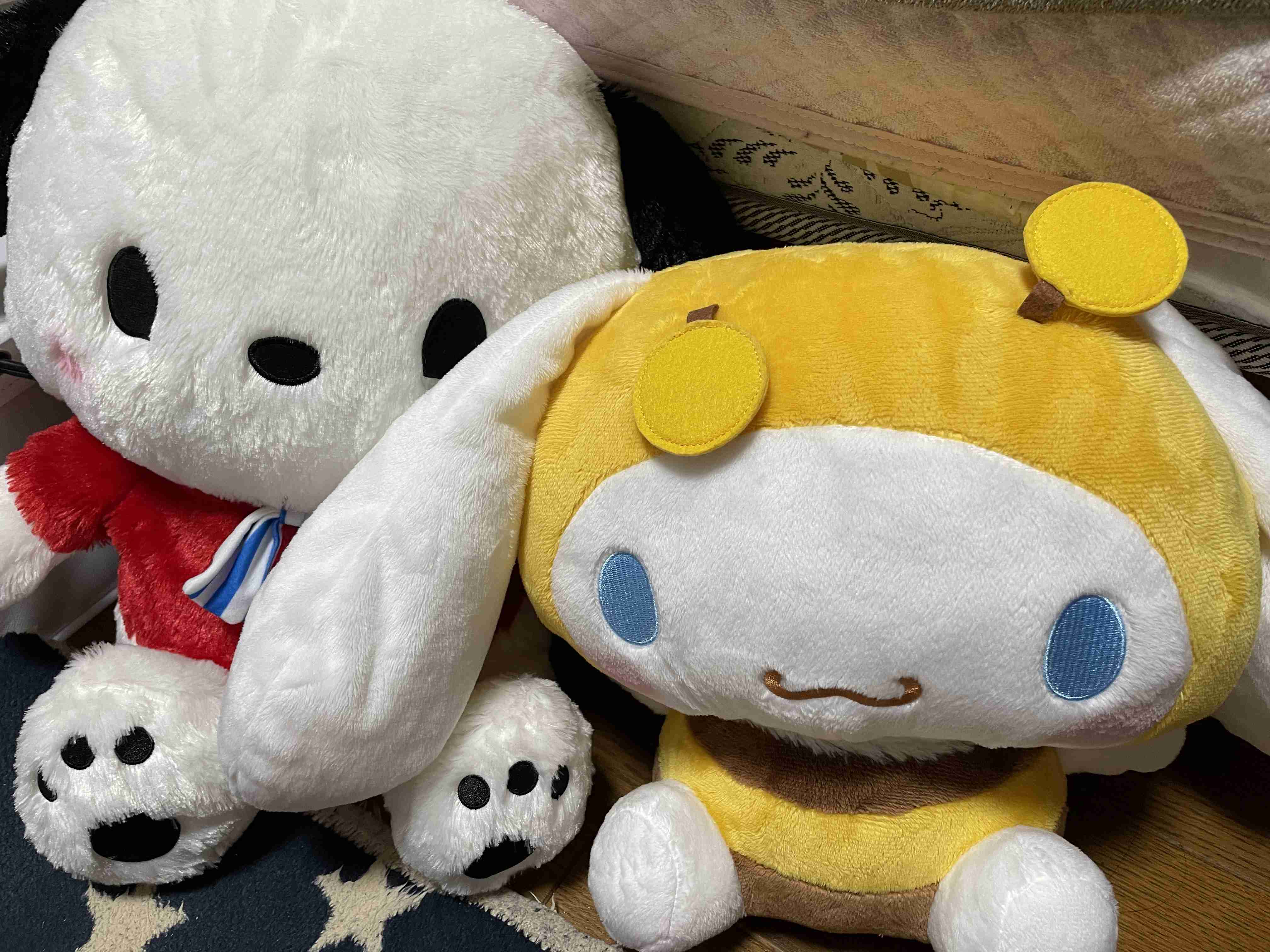 クレーンゲームで何円賭けて何を取った?