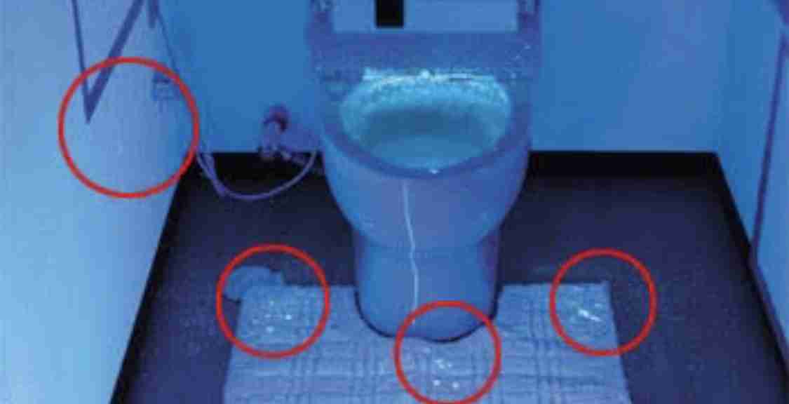 「むしろ不潔」との声も…トイレの「スリッパ」いる派？いらない派？ 500人の回答は意外な結果に…