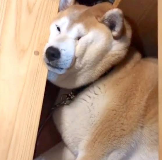 顔のシワ対策