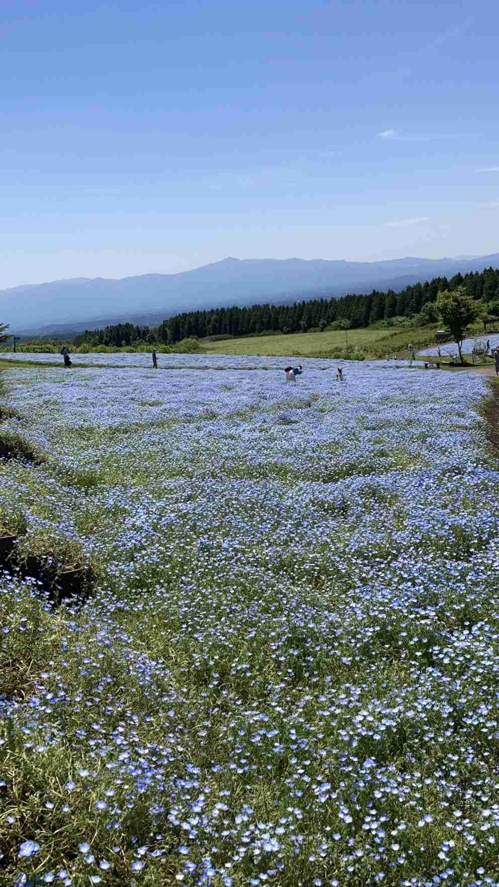 コロナ禍だし、過去に行った旅行の写真でも見せ合いませんか