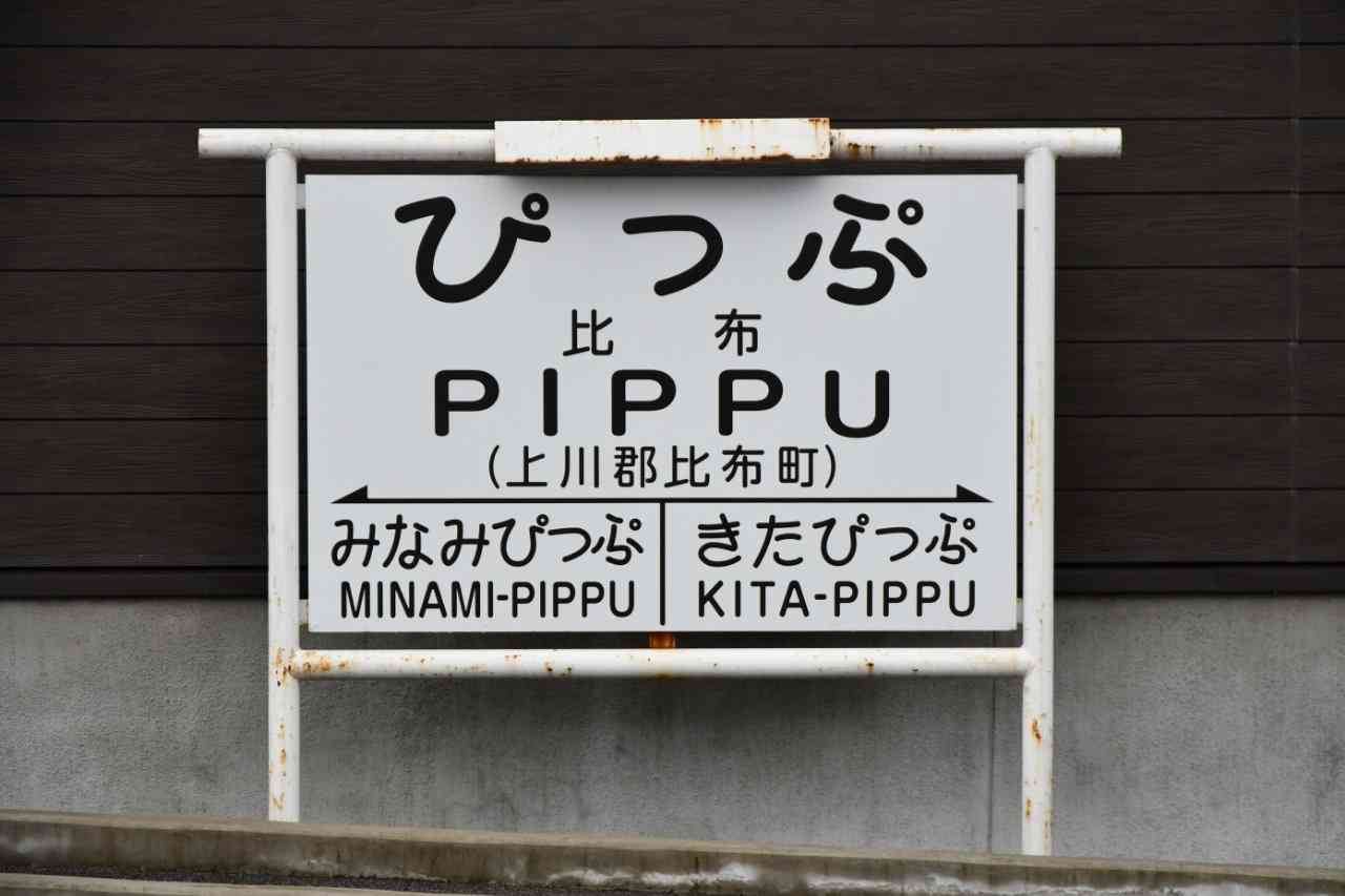 コロナ禍だし、過去に行った旅行の写真でも見せ合いませんか