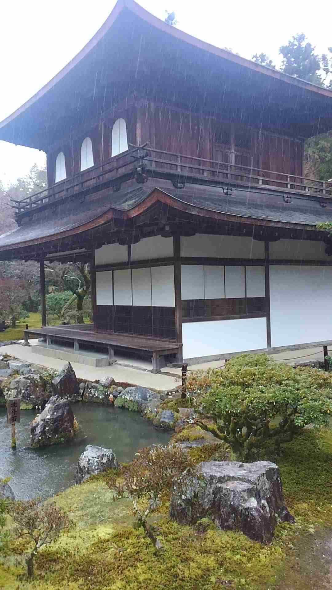 コロナ禍だし、過去に行った旅行の写真でも見せ合いませんか