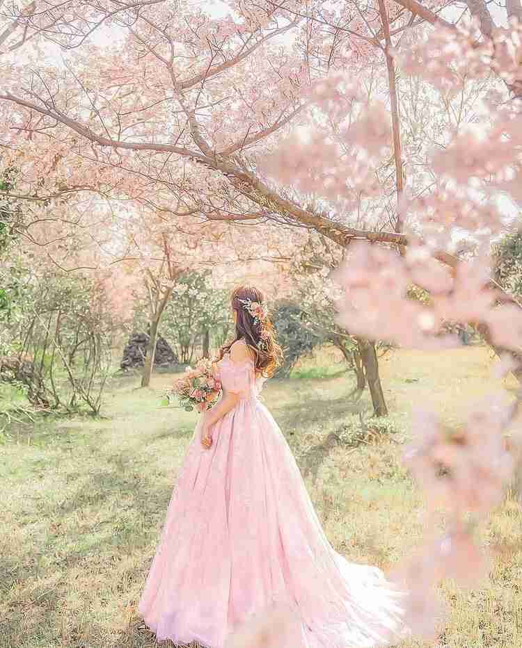 綺麗なウエディングドレスがみたい