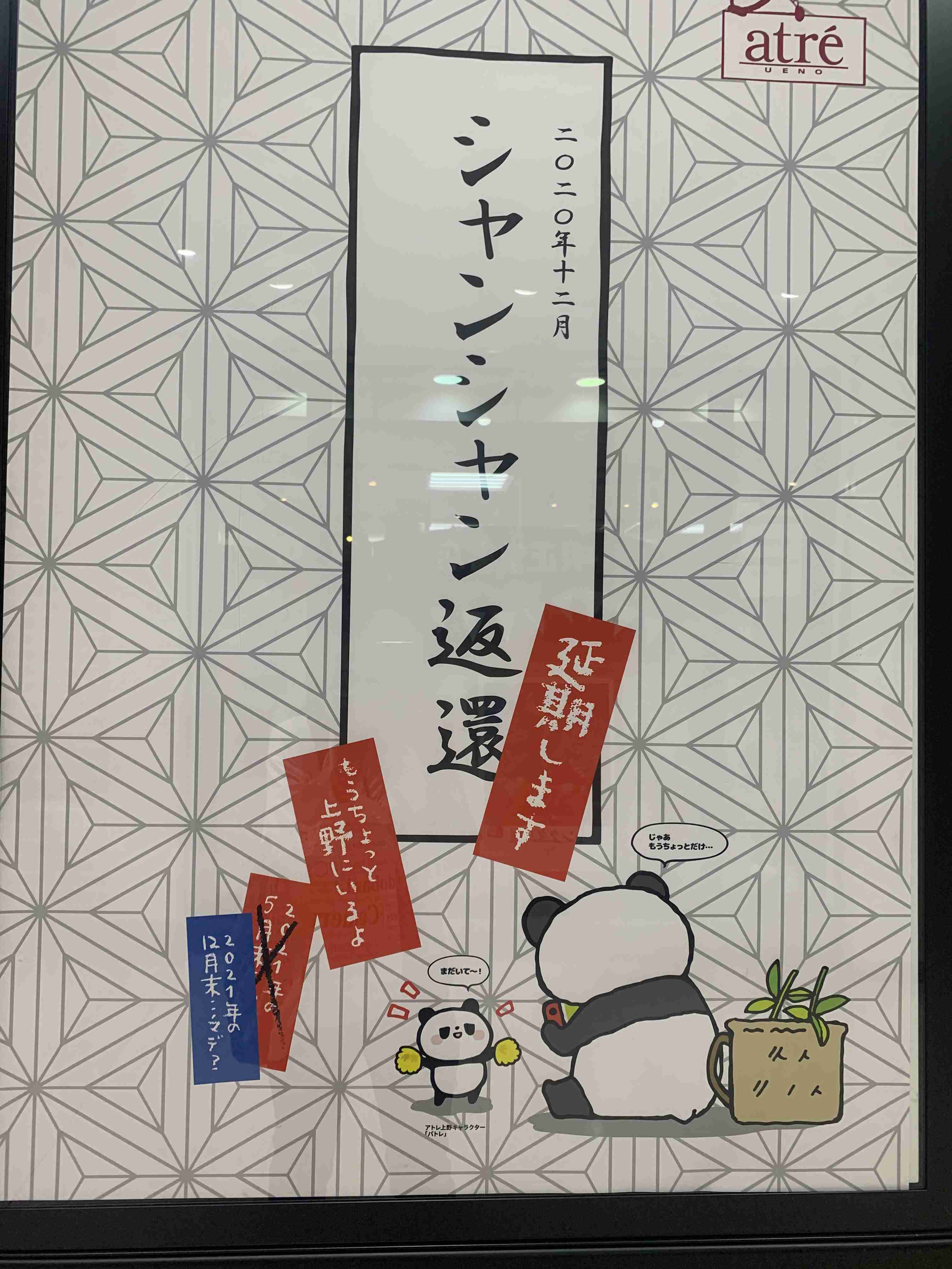 上野動物園で双子のパンダが生まれる