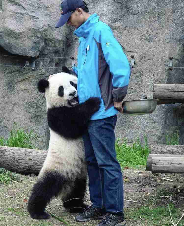 上野動物園で双子のパンダが生まれる