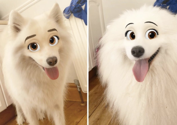 藤原紀香、姫カットの自撮りに大ブーイング「加工がひどすぎる」