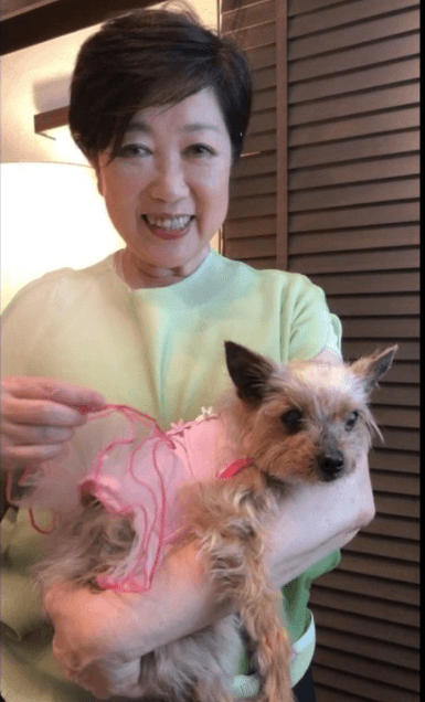 小池都知事 あす以降も公務に復帰せず 数日間は静養続ける