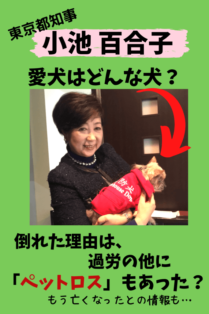 小池都知事 あす以降も公務に復帰せず 数日間は静養続ける