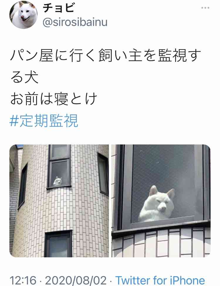 Twitterでバズった人気の投稿　part5