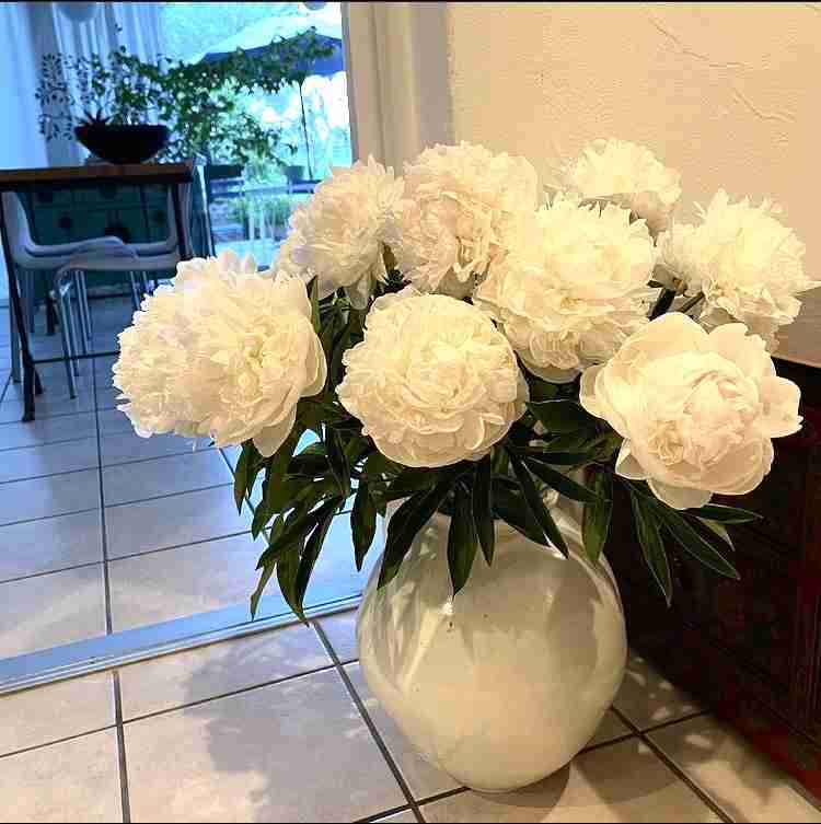 素敵なお花のインテリアが見たい！