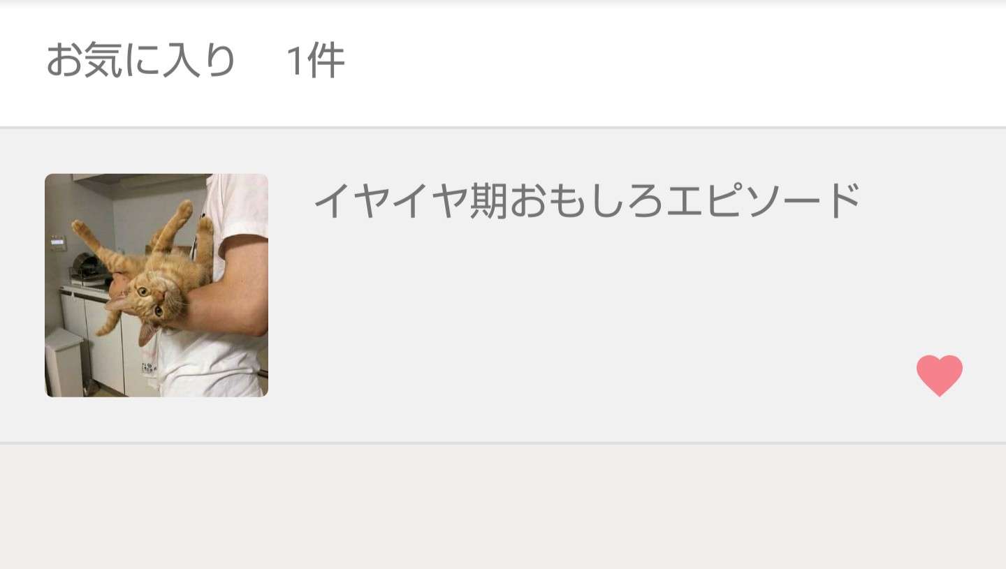 お気に入りトピックを晒すトピ