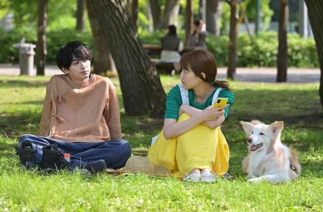 美男美女のツーショットが見たい！