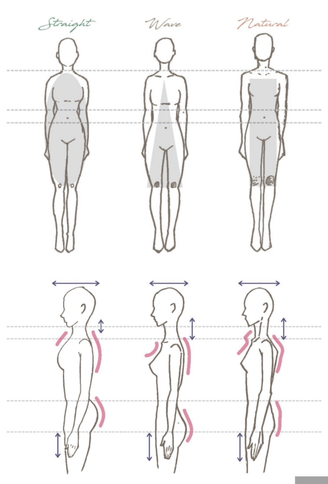 骨格ストレートさんのダイエット