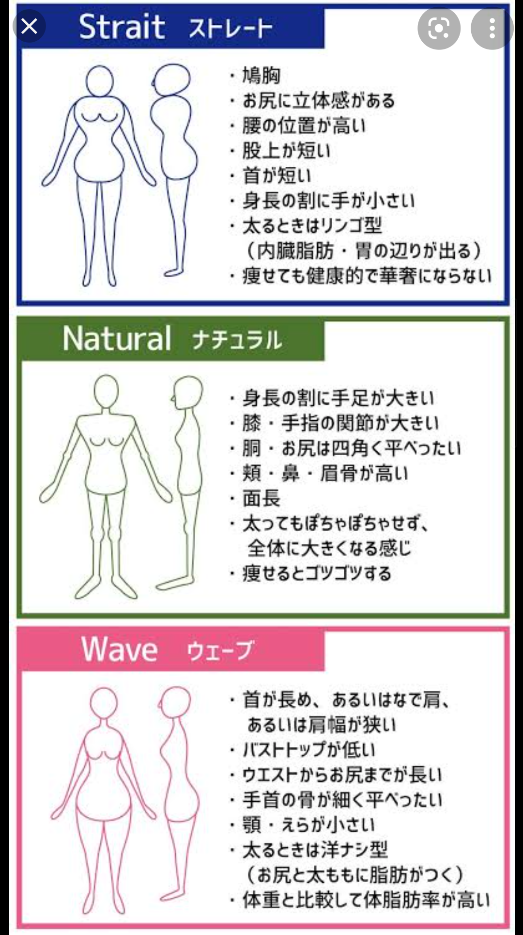 骨格ストレートさんのダイエット