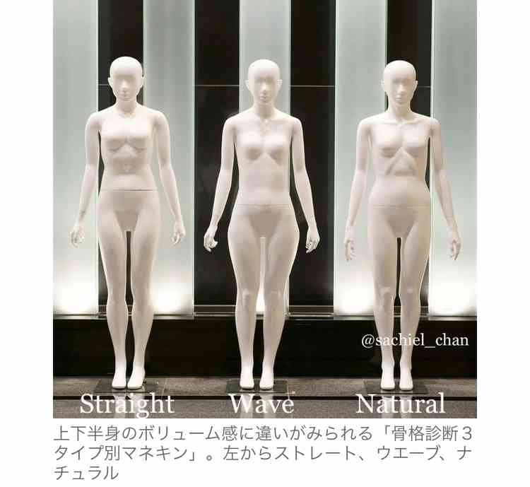 骨格ストレートさんのダイエット