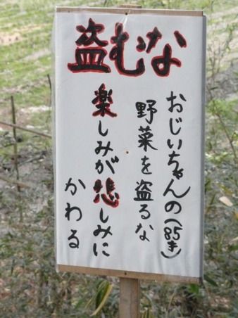 ❲ネタOK❳野菜泥棒の捕まえ方