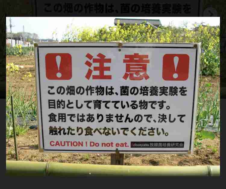 ❲ネタOK❳野菜泥棒の捕まえ方