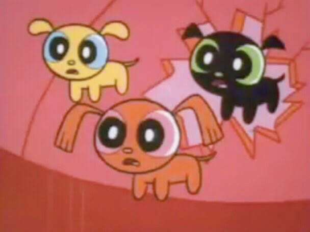 フォルダに保存してある画像で絶対に笑ってはいけないガルちゃん・2