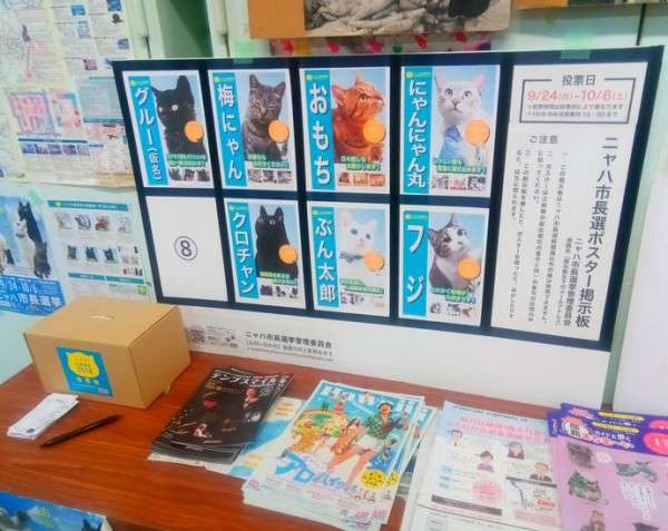 画像を貼ると誰かがトピタイを考えてくれるトピPart9