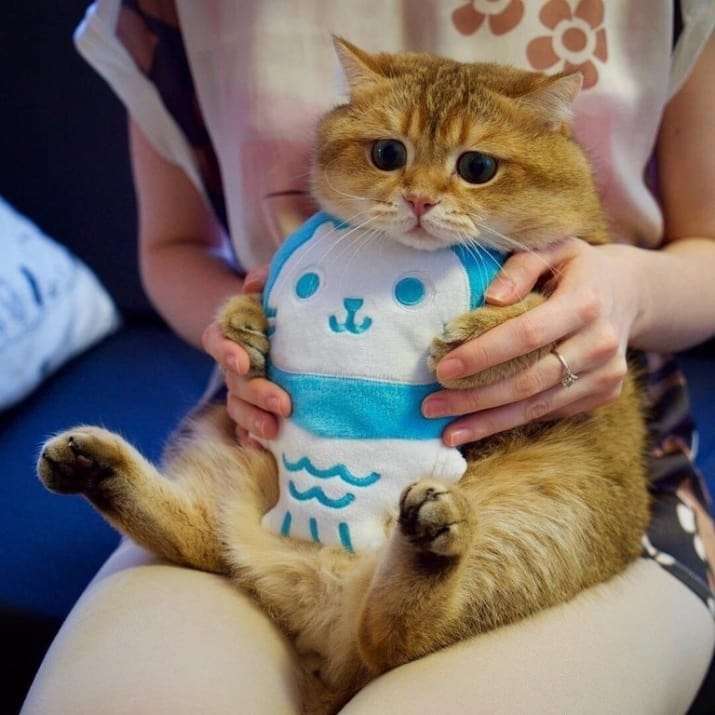 画像を貼ると誰かがトピタイを考えてくれるトピPart9