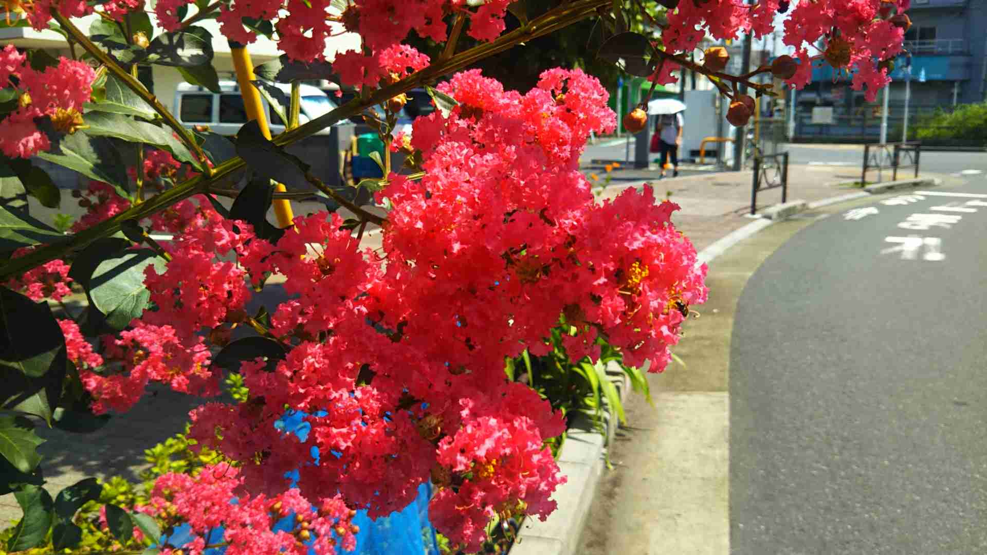 ぼっちcafé / まったりトーク【10号店】