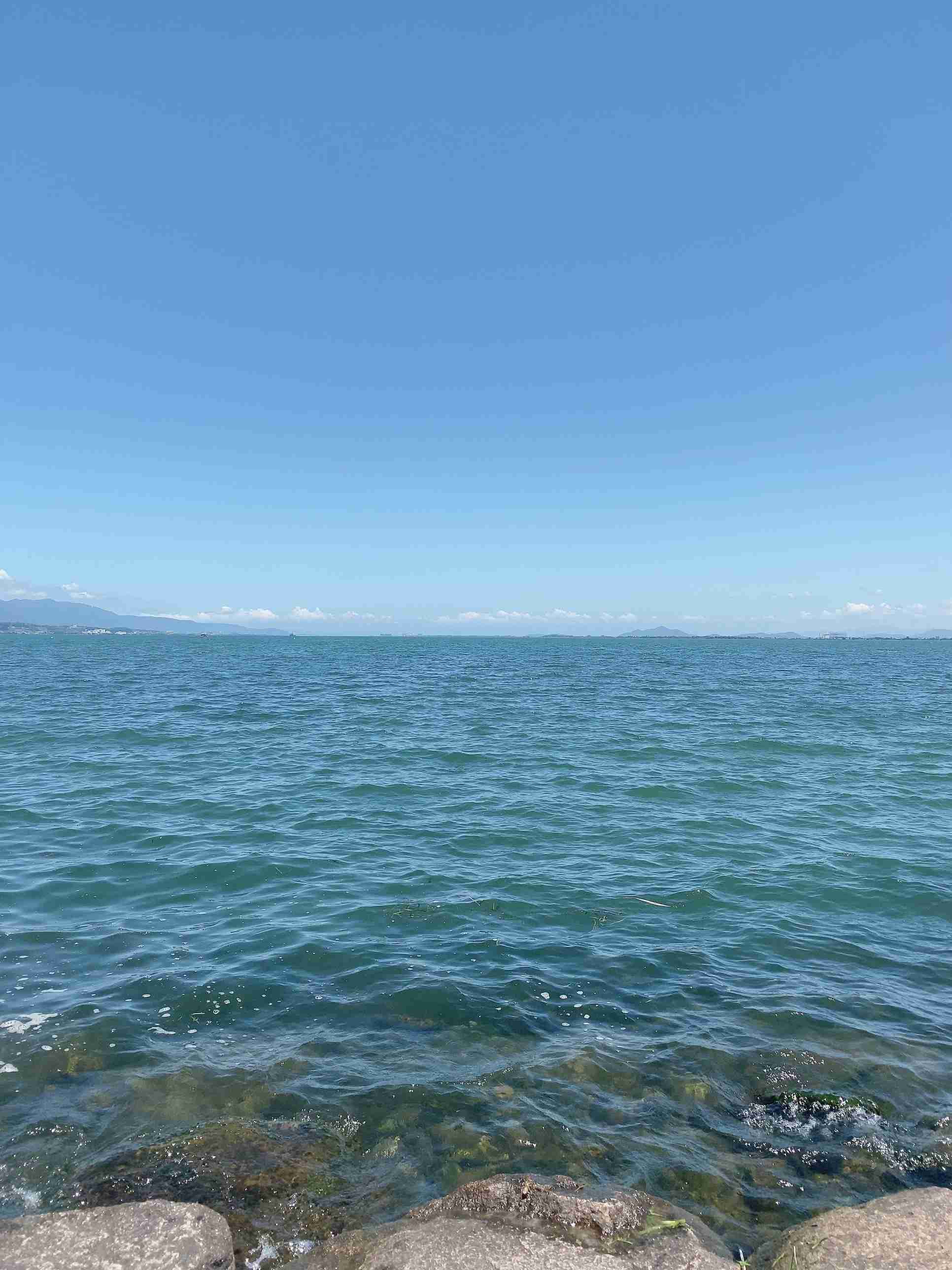 ぼっちcafé / まったりトーク【10号店】