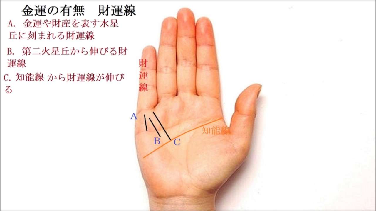 ぼっちcafé / まったりトーク【10号店】