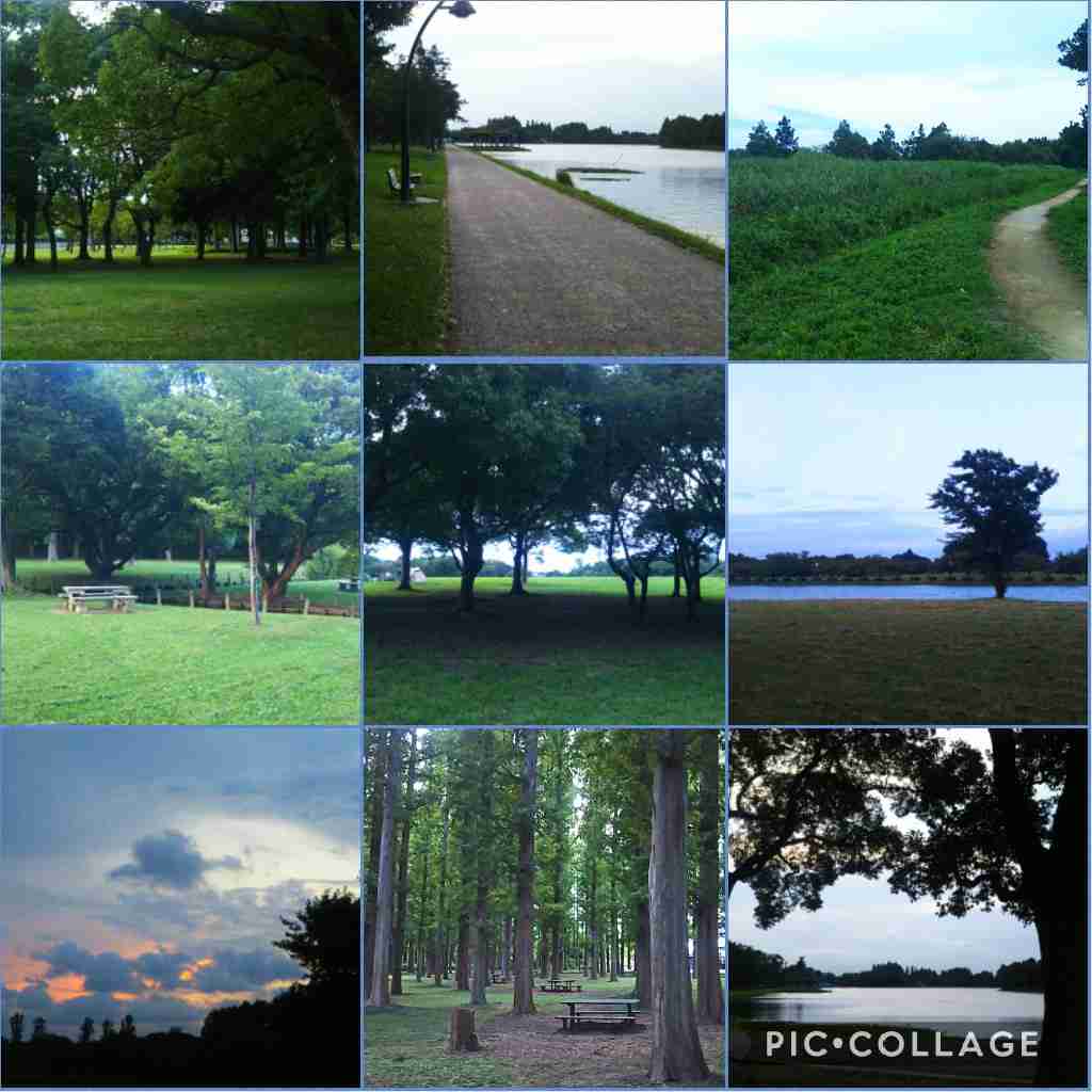 ぼっちcafé / まったりトーク【10号店】