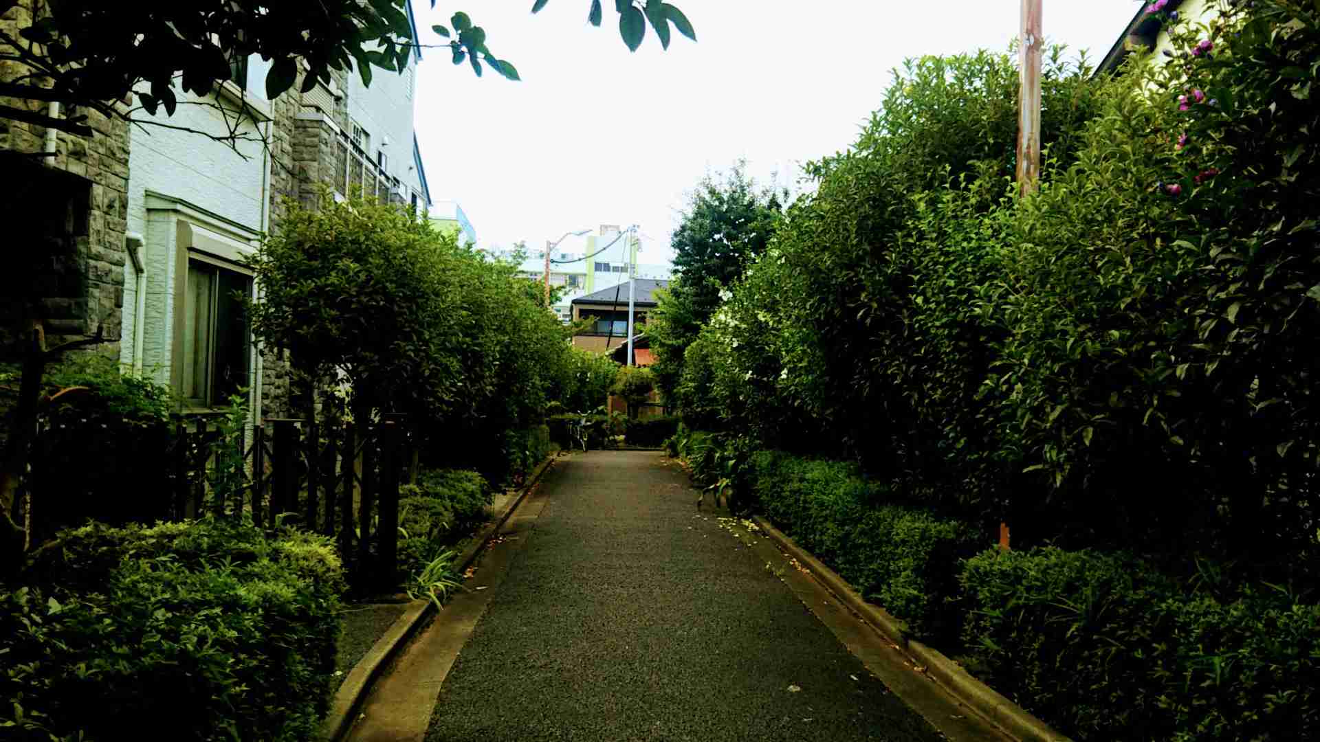 ぼっちcafé / まったりトーク【10号店】