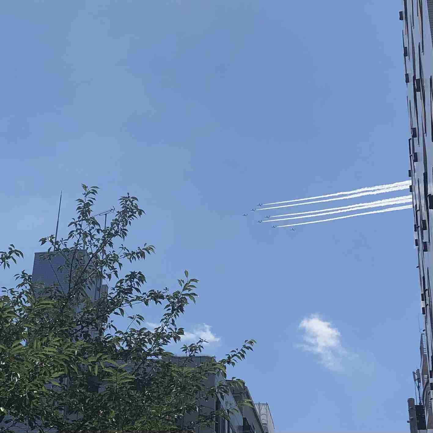 ぼっちcafé / まったりトーク【10号店】