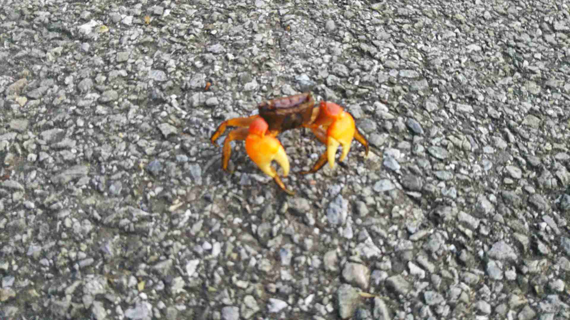 ぼっちcafé / まったりトーク【10号店】